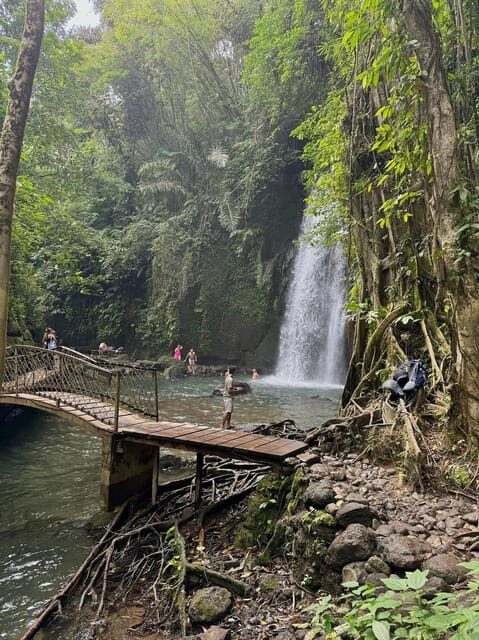 Private Ubud Tour: Sacred Monkeys, Coffee, Temple, Waterfall - Authentic Experiences as Reported by Travelers
