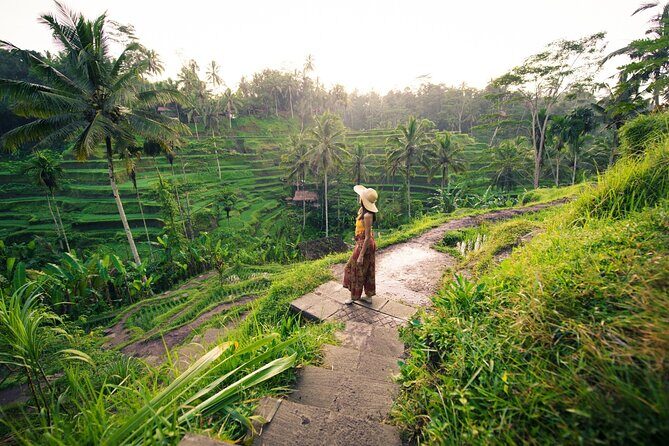 Private Ubud Tour with Monkey Forest and Waterfall - Exploring the Private Ubud Tour with Monkey Forest and Waterfall