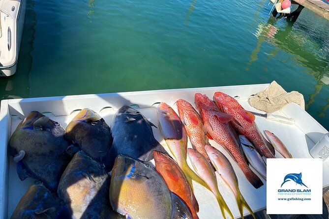 private-ultimate-fish-snorkel-cruise-3-4-day-on-serendipity