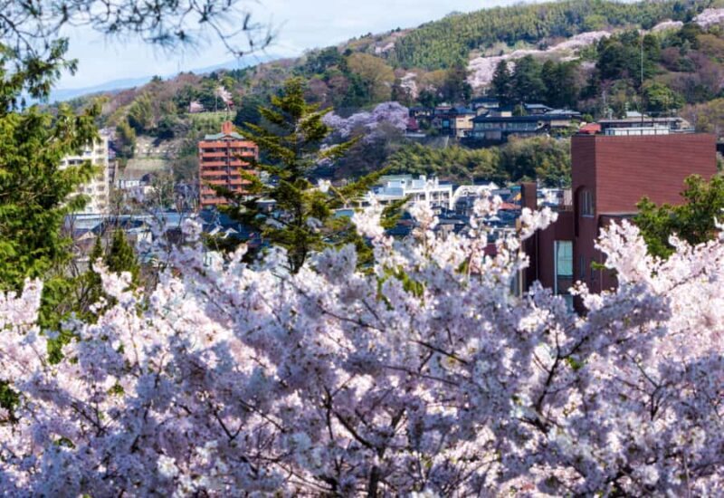 Private & Unique Kanazawa Cherry Blossom "Sakura" Experience - FAQ
