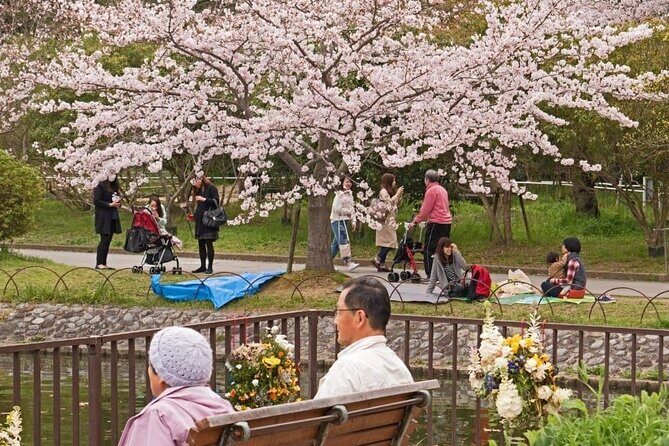 Private Unique Kobe Cherry Blossom Sakura Experience - Exploring Kobe’s Cherry Blossom Season with a Personal Touch