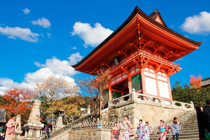 private-unique-kyoto-cherry-blossom-sakura-experience