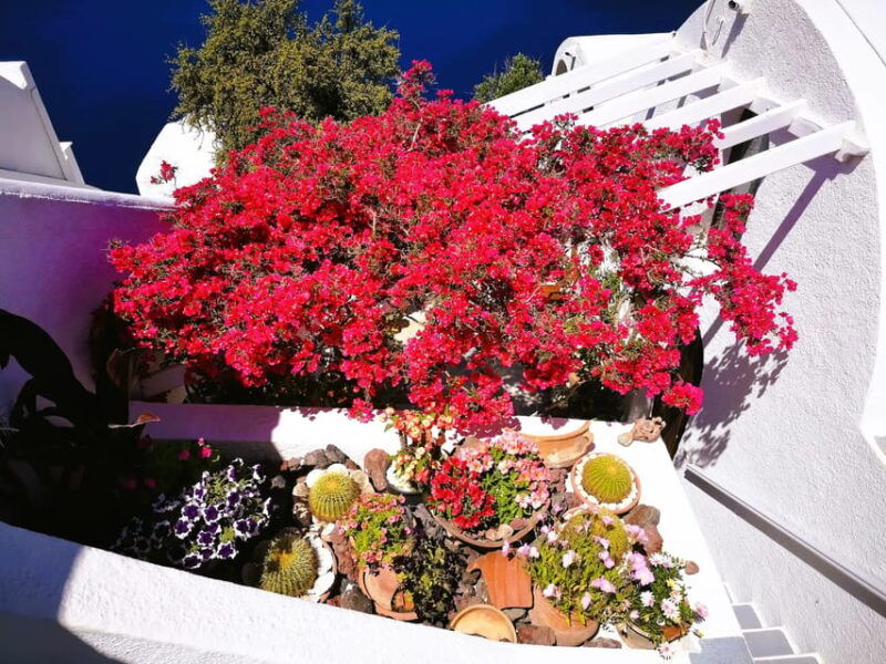 private-unseen-authentic-santorini-half-day-shore-excursion-2