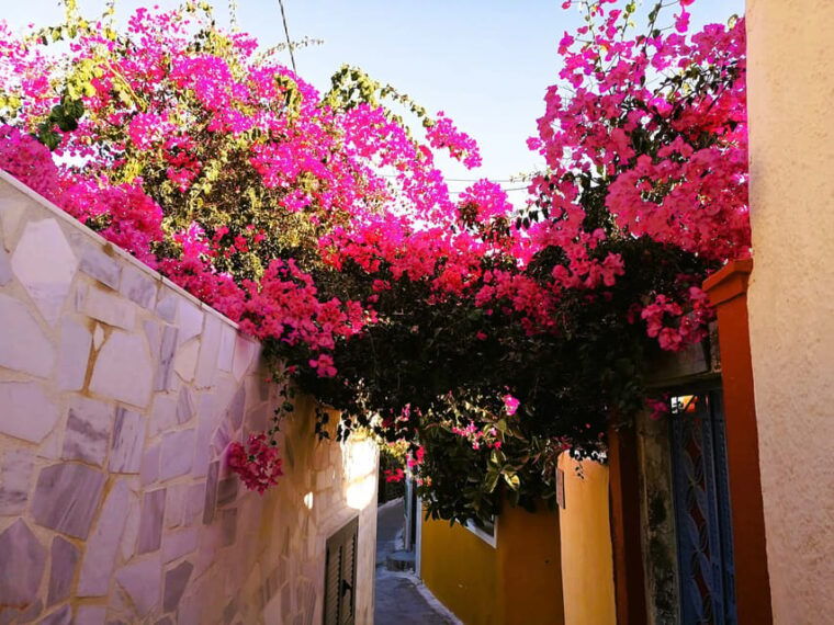 private-unseen-authentic-santorini-half-day-shore-excursion-2