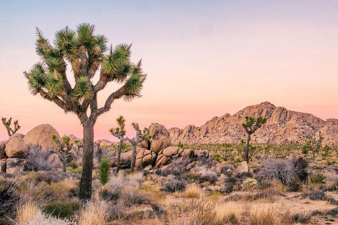 private-vacation-photography-session-with-photographer-in-palm-springs