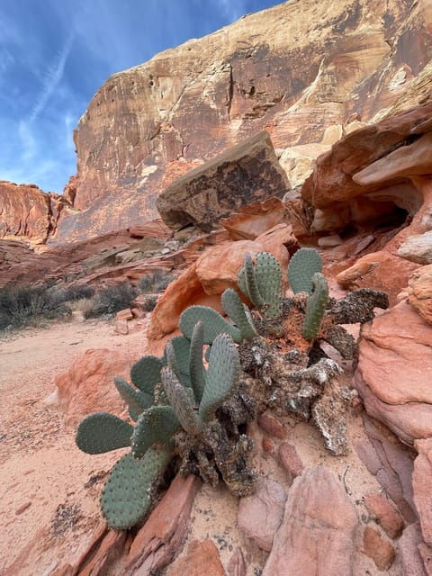 private-valley-of-fire-adventure