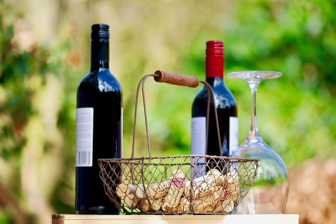 private-valpolicella-day-trip-from-venice-wine-tasting-and-verona