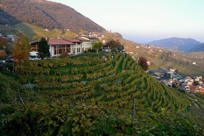 private-venetian-hills-wine-tour
