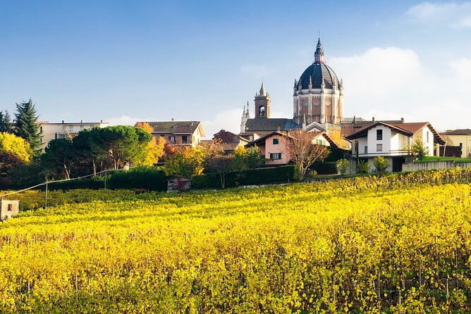 private-vespa-tour-among-the-hills-of-barolo-and-barbaresco