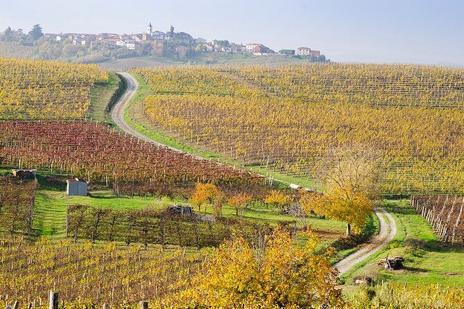 private-vespa-tour-among-the-hills-of-barolo-and-barbaresco