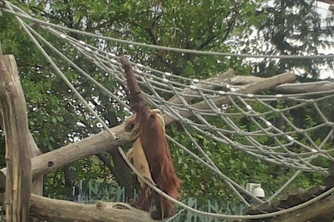 private-vienna-sightseeing-tour-matching-to-personal-interests-3