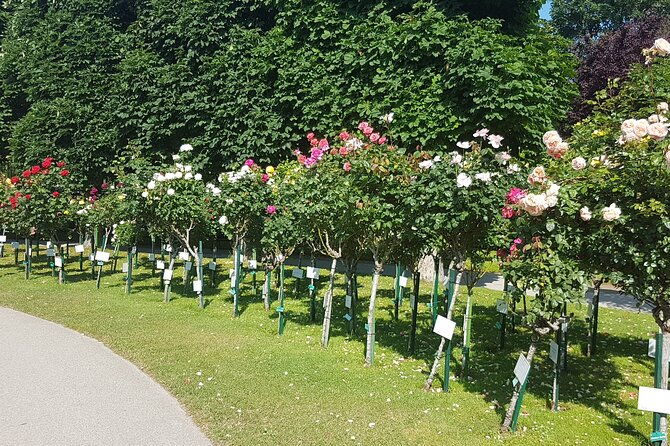 private-vienna-sightseeing-tour-matching-to-personal-interests