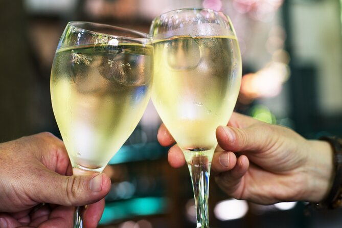 private-vienna-wine-tour-with-top-austrian-wines-and-tapas