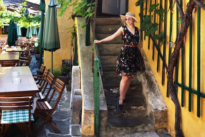 private-vienna-wine-tour-with-top-austrian-wines-and-tapas