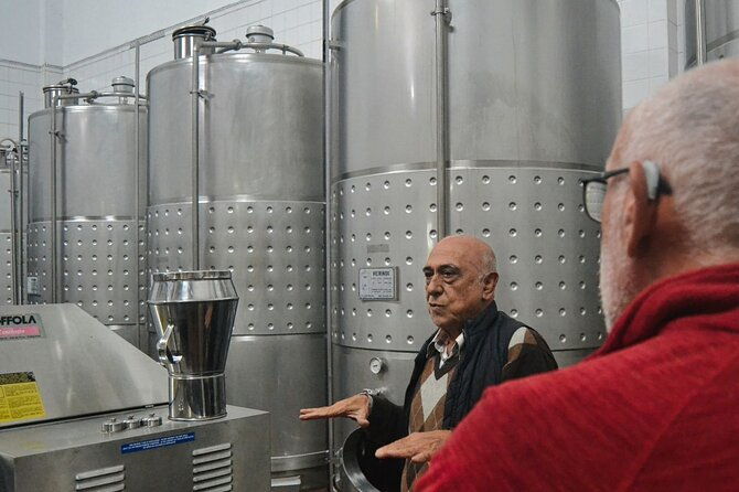 private-vinho-verde-region-wine-tour-from-porto-including-lunch