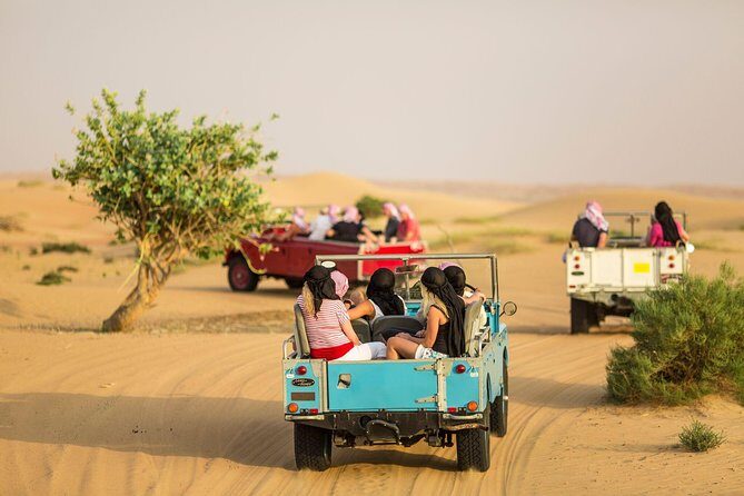 Private Vintage Land Rover Heritage Desert Safari- 4 Course Dinner & Activities - What Travelers Are Saying