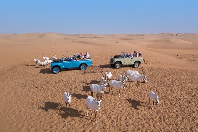 Private Vintage Land Rover Heritage Desert Safari- 4 Course Dinner & Activities - Final Thoughts: Is It Worth It?