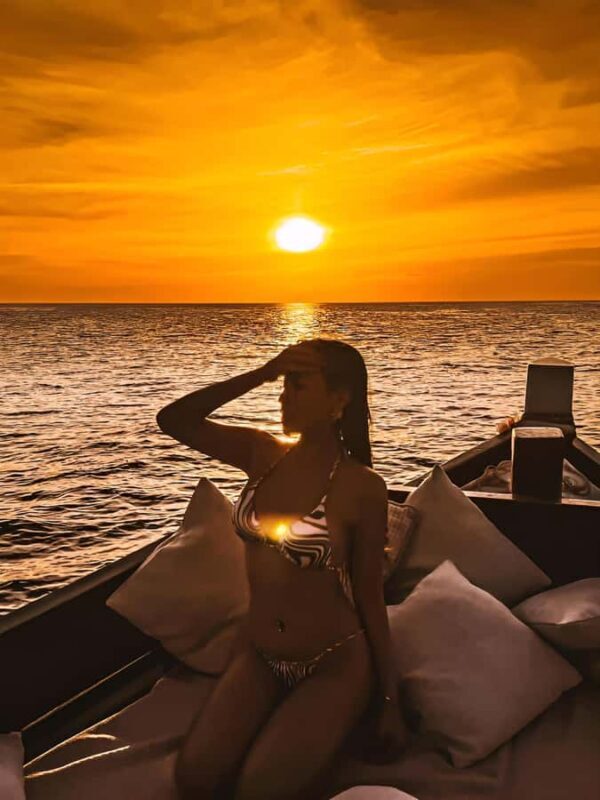 Private VIP Cruise 5h  Koh Tao & Koh Nangyuan with lunch - What Makes This VIP Cruise Stand Out