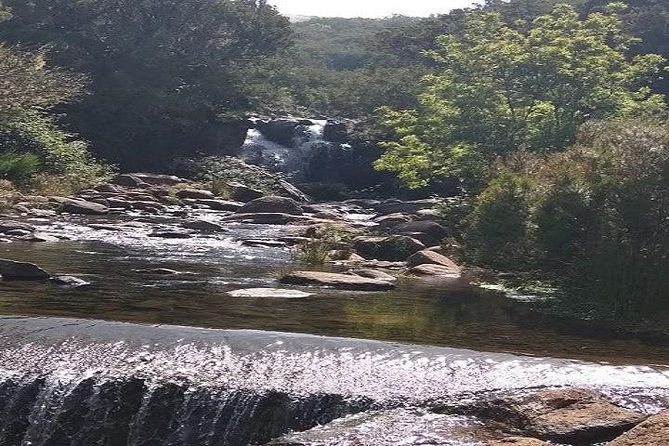 private-viptours-up-to-4pax-8pax-19pax-2