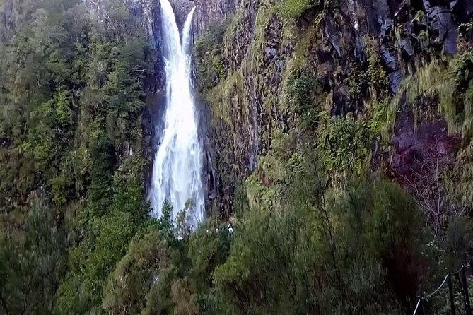 private-viptours-up-to-4pax-8pax-19pax