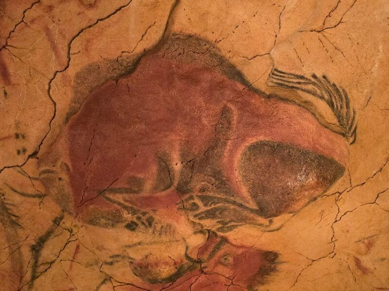 private-visit-altamira-museum-and-neocave-the-fascination-of-prehistory