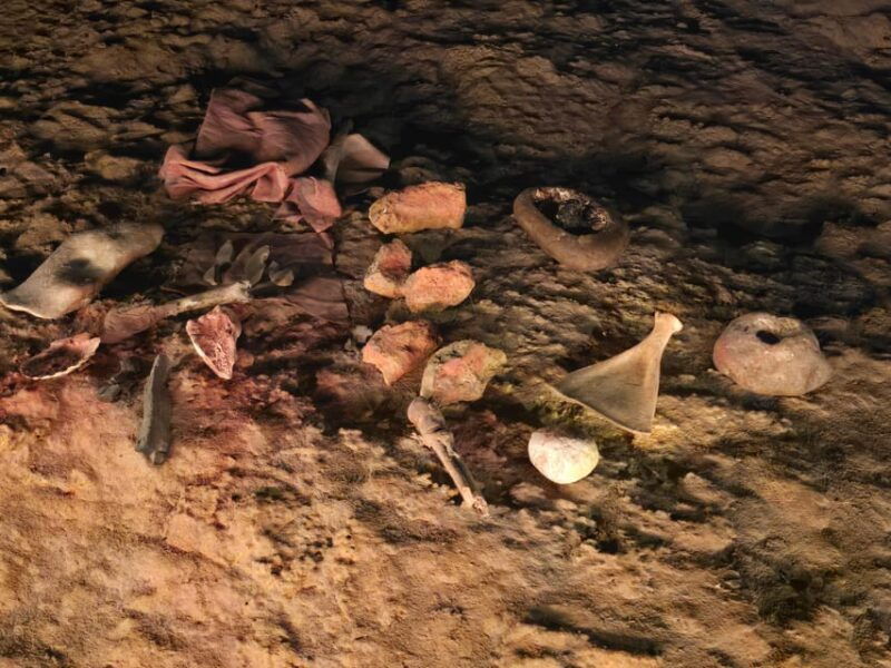 private-visit-altamira-museum-and-neocave-the-fascination-of-prehistory