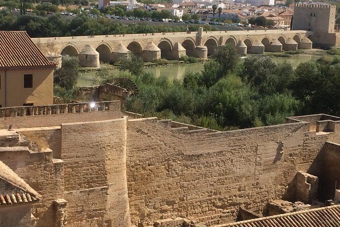 Private Visit Mosque-Cathedral, Jewish quarter, Alcazar and Synagogue - The Sum Up  
