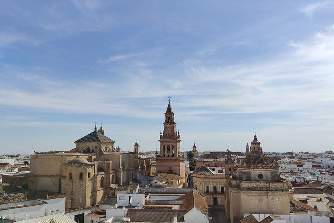 private-visit-to-carmona-and-its-main-monuments