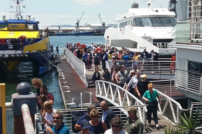 Private Visit to Robben Island Table Mountain + All Tickets F/d - Who Should Book This Tour?