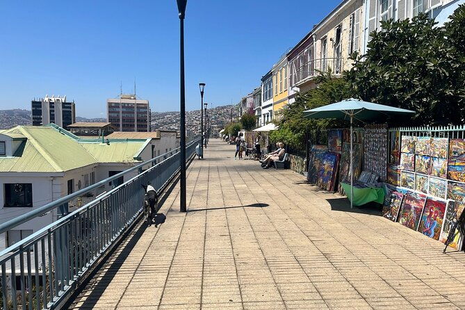 private-visit-valparaiso-vina-del-mar-winery-from-santiago