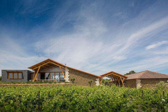 private-visit-with-wine-tasting-in-alijo-douro