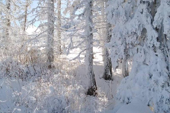 private-vitosha-mountains-hiking-with-black-peak-dragalevtsi-monastery