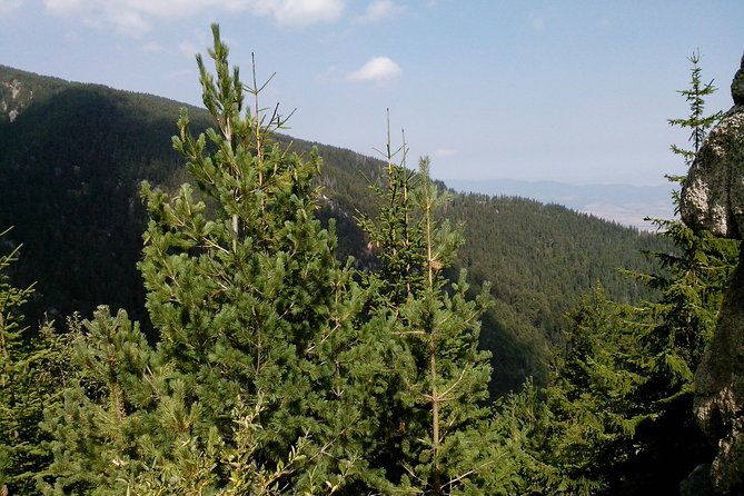 private-vitosha-mountains-hiking-with-black-peak-dragalevtsi-monastery