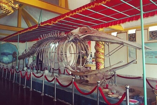 Private Vung Tau Coastal Experience from Saigon - Final Thoughts: Is This Tour Right for You?