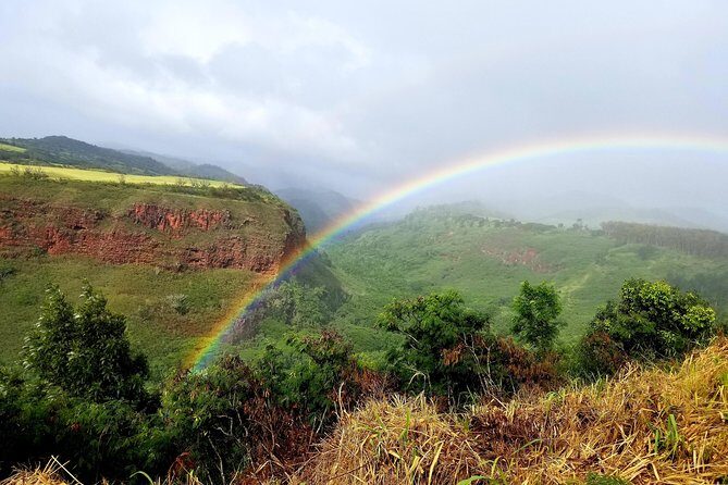 Private Waimea Canyon Tour - The Practical Side: How the Tour Works