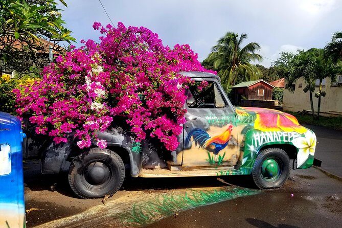 Private Waimea Canyon Tour - Who Should Consider This Tour?