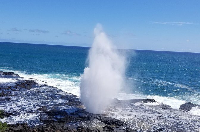 Private Waimea Canyon Tour - FAQ: Your Questions Answered