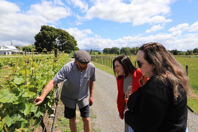 Private Wairarapa Wine Delights Tour from Wellington - The Experience: What Makes It Worthwhile