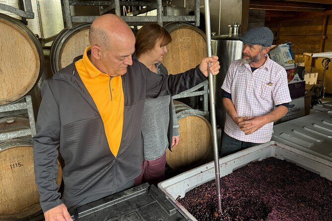Private Wairarapa Wine Delights Tour from Wellington - Who Will Love This Tour?