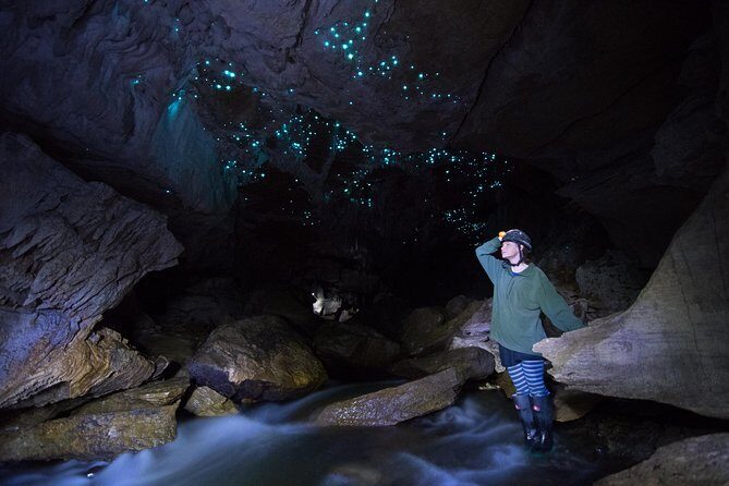 Private Waitomo Glowworm Cave Tours - Who Would Love This Experience?
