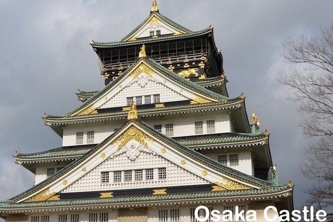 Private Walking Day Tour in Osaka with English / Chinese Speaking Guide - Key Points