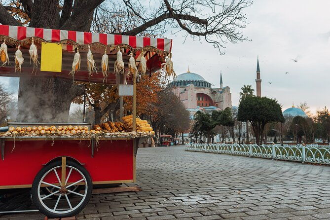 private-walking-old-city-tour-of-istanbul-sultanahmet-tour