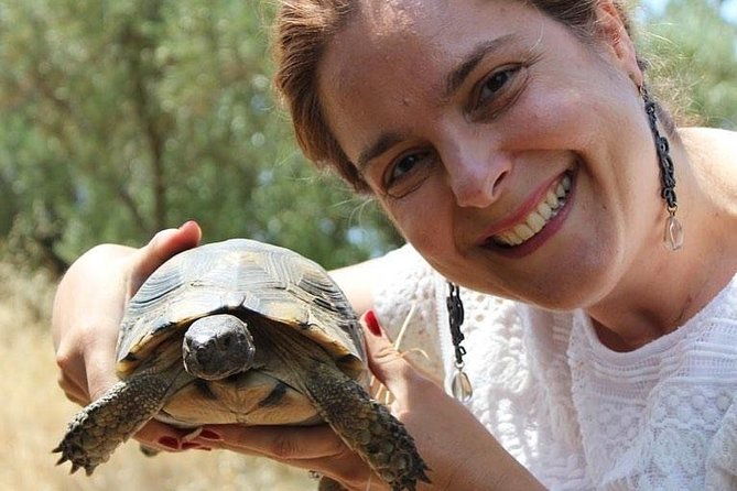 private-walking-tour-3000-years-of-history-around-the-acropolis-rock