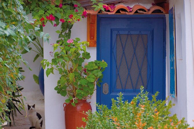 private-walking-tour-ancient-agora-plaka-and-monastiraki-monuments