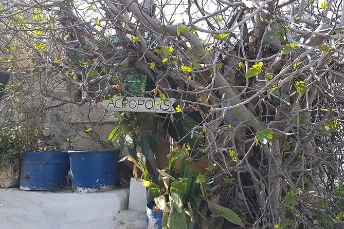 private-walking-tour-enjoy-a-sunset-tour-in-plaka