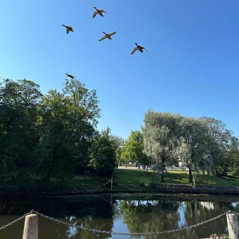 Private Walking Tour Gothenburg: Old Town & Åsa Coastline - FAQs