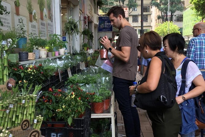 Private Walking Tour: Hong Kong Local Markets Hopper - Who Will Love This Tour?