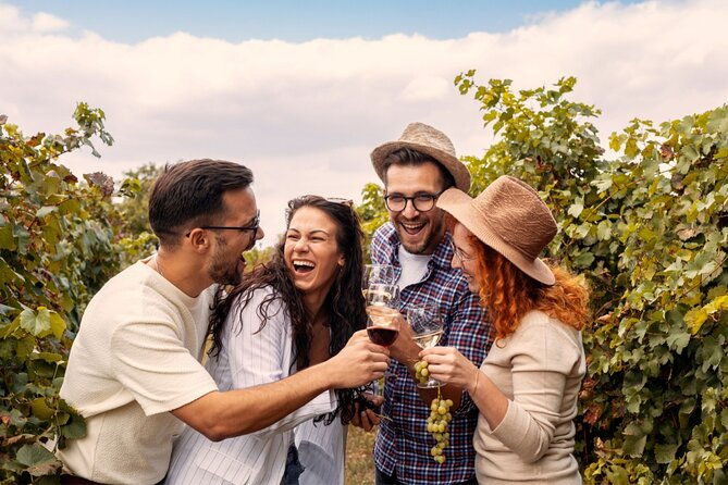 private-walking-tour-in-baden-neuweirs-vineyard
