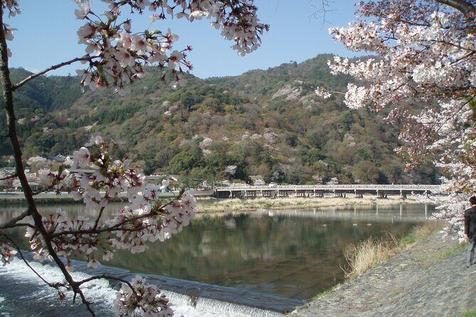 Private Walking Tour in Bamboo Forest & Hidden Spots in Arashiyama - An In-Depth Look at the Tour Experience