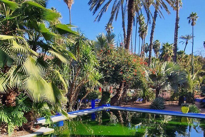 Private Walking Tour in Marrakech - Key Points